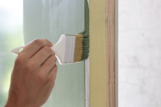 Best Mold Removal for HVAC Installations  in Erie, CO