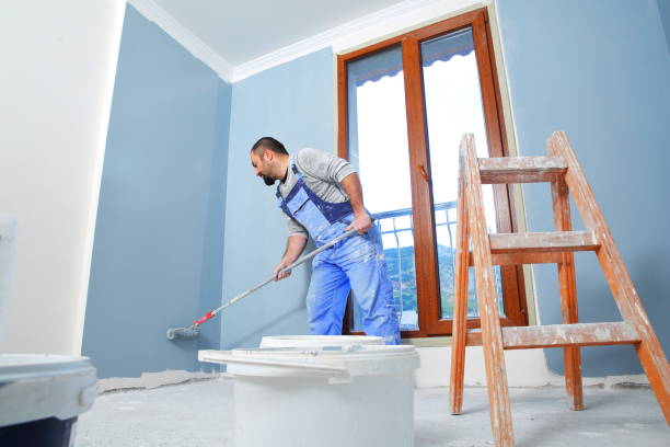 Best Indoor Air Quality Assessment  in Erie, CO