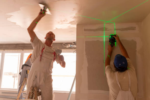 Environmental Consulting for Mold Prevention in Erie, CO