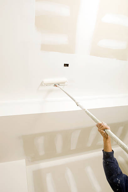 Biohazard Mold Removal in Erie, CO