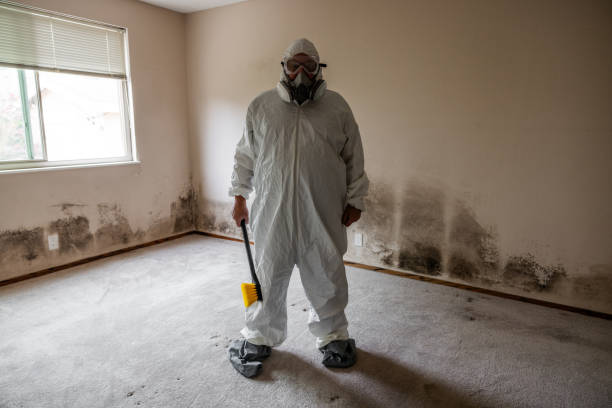 Best Residential Mold Inspection & Testing  in Erie, CO